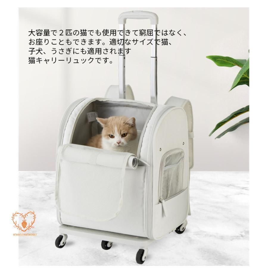 キャリー?コンテナ 猫