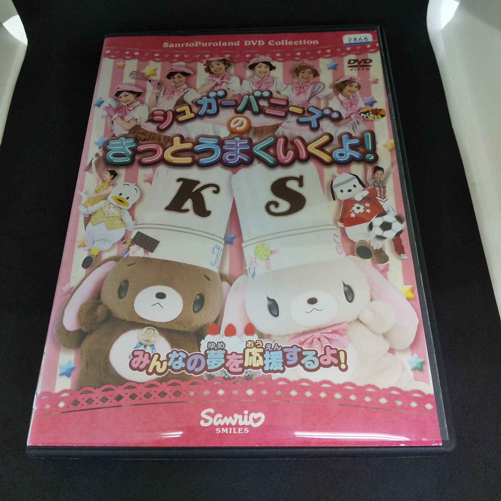 シュガーバニーズのきっとうまくいくよ！ レンタル専用 中古 DVD