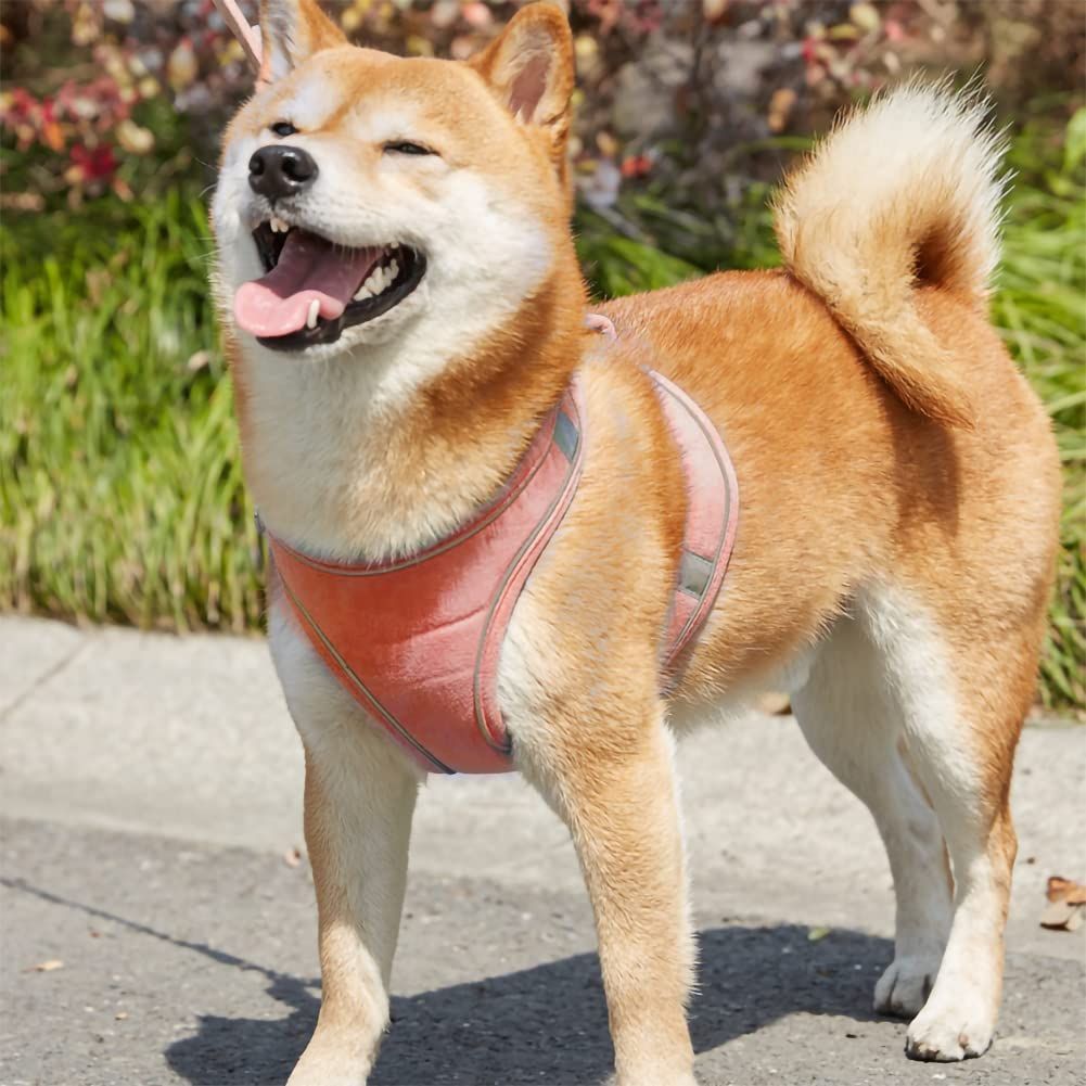 反射光ストリップ付き 調節 胴輪 お散歩 猫 お外出 犬 着脱簡単 小型犬 ペット用ハーネス＆リードセット 中型犬 PET 大型犬 スエード ピンク KUVEELA M