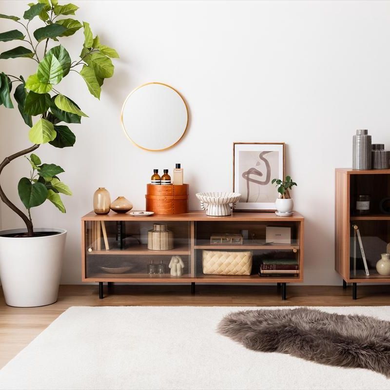 ガラス戸付 テレビボード