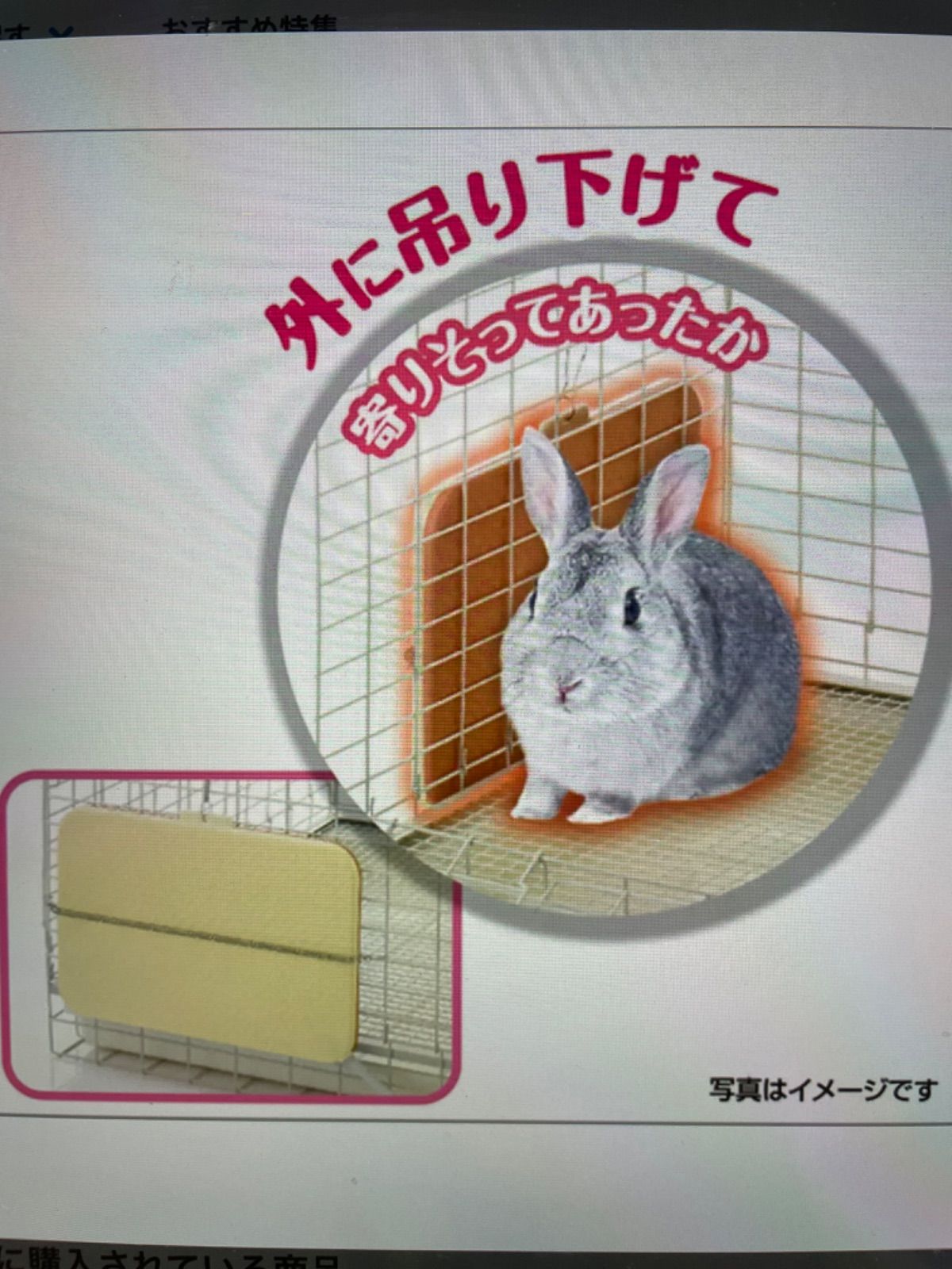 新品・未使用✨小動物ヒーター☘Mサイズフック付き☘ - メルカリ