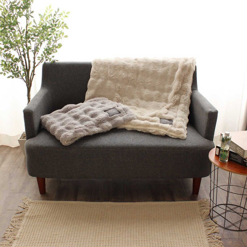 末梢神経ブロックカラーアトラス-整形外科手術、ペインクリニックの