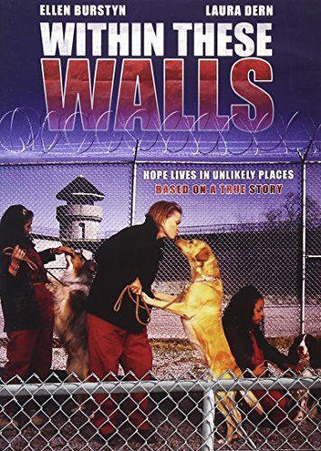 (未使用･未開封品)Within These Walls [DVD] 中古】Within These Walls - Complete Series 5 - 4-DVD Set Within