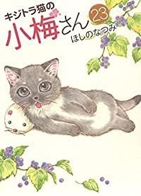 キジトラ猫の小梅さん　(1-23巻セット)　ほしのなつみ/少年画報社【57】