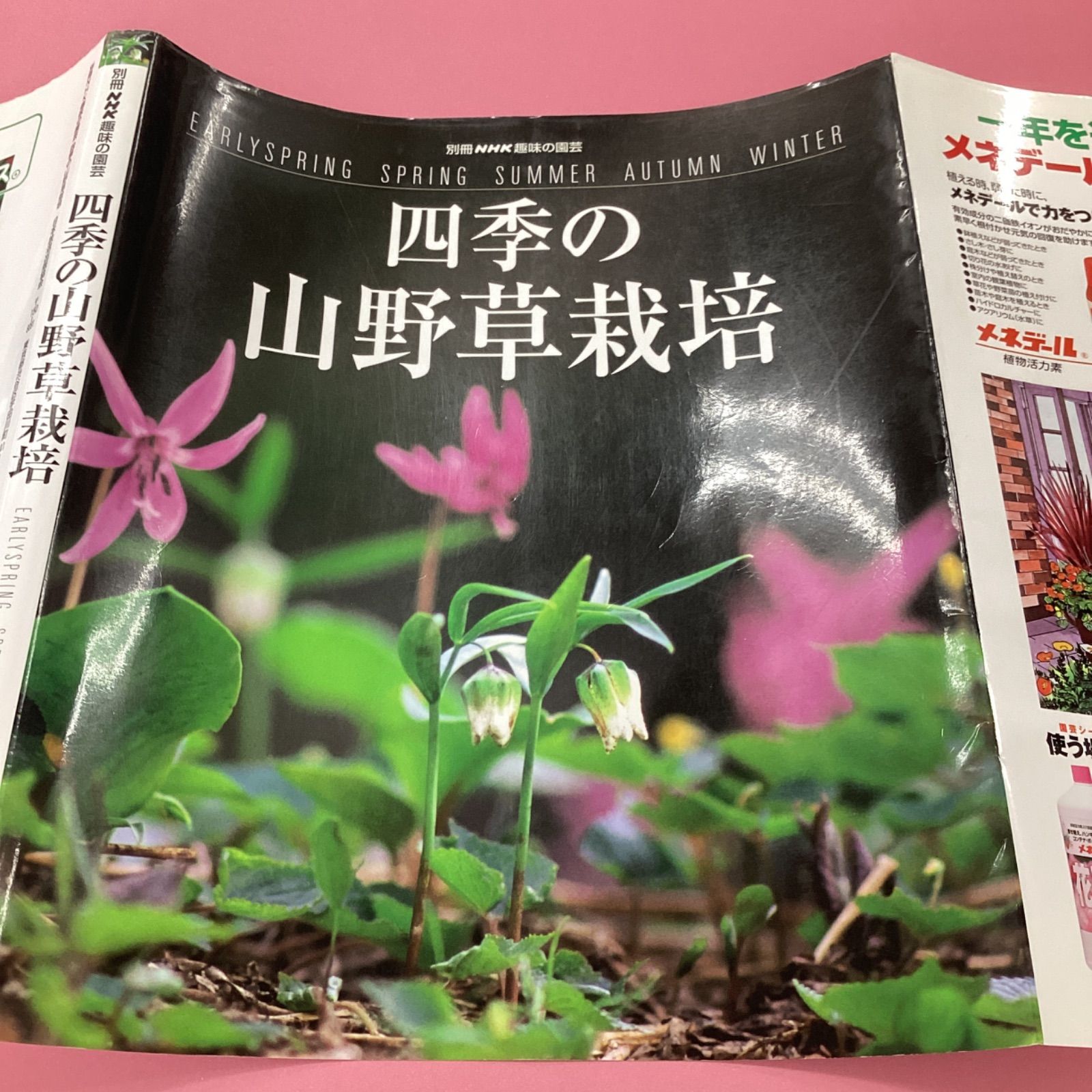 四季の山野草栽培 別冊NHK趣味の園芸　c16_2682-4