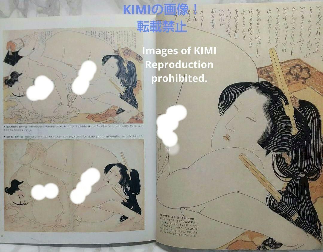 春画 江戸の絵師四十八人 別冊太陽 ペーパーバック 白倉 敬彦 平凡社 