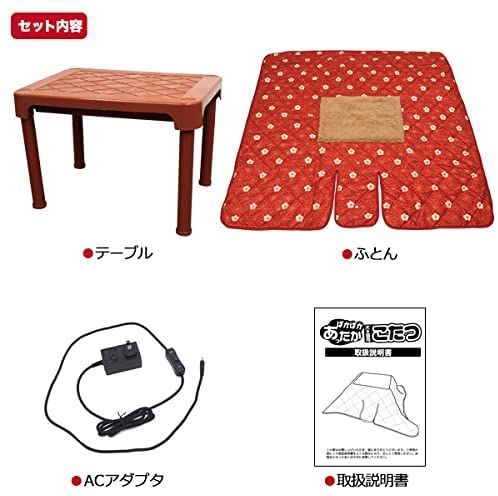 こたつ 猫