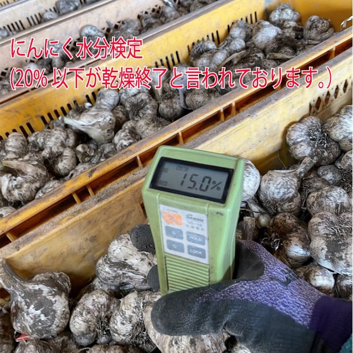 【並級品】青森県倉石産にんにく福地ホワイト六片種 Lサイズ 2kg-7