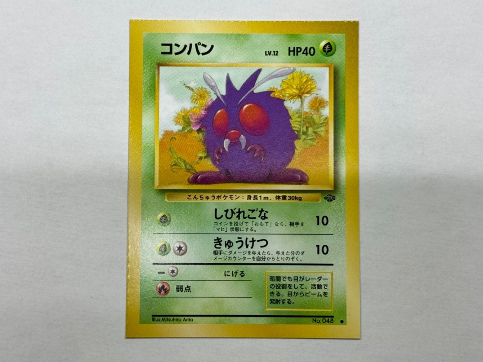 スクエアカット】 コンパン旧裏 ポケモンカード 【公式通販】