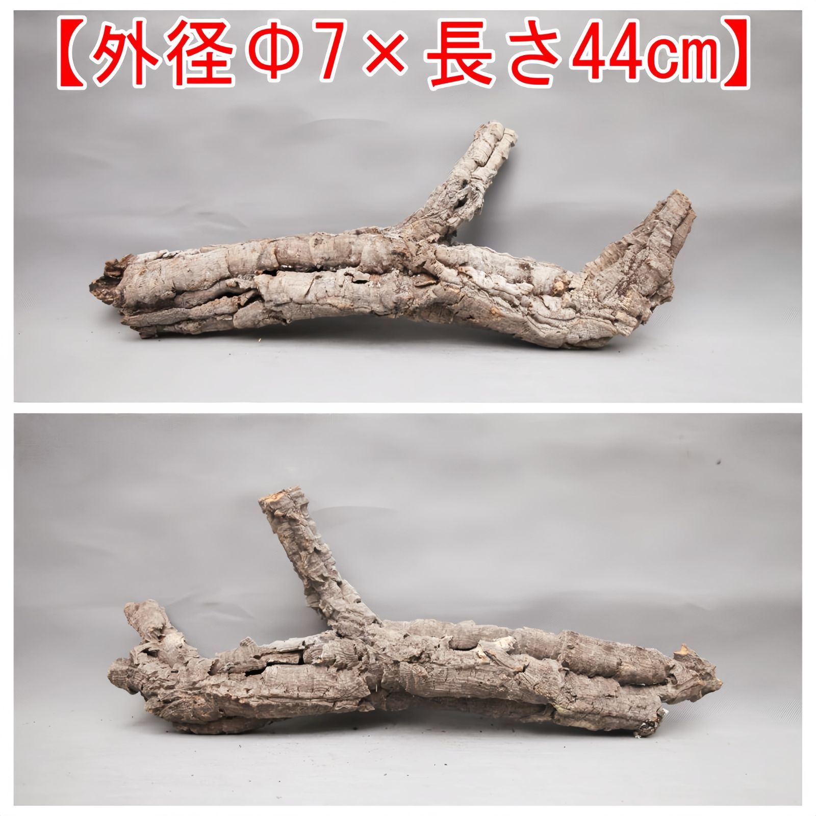 250824 ポルトガル産 キャノンコルク コルク樹皮コルク板