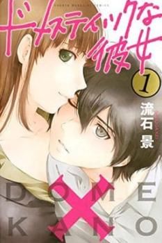 ドメスティックな彼女 21冊セット 第 1～21 巻 レンタル用 全巻 コミック 本 Comic レンタル落ち
