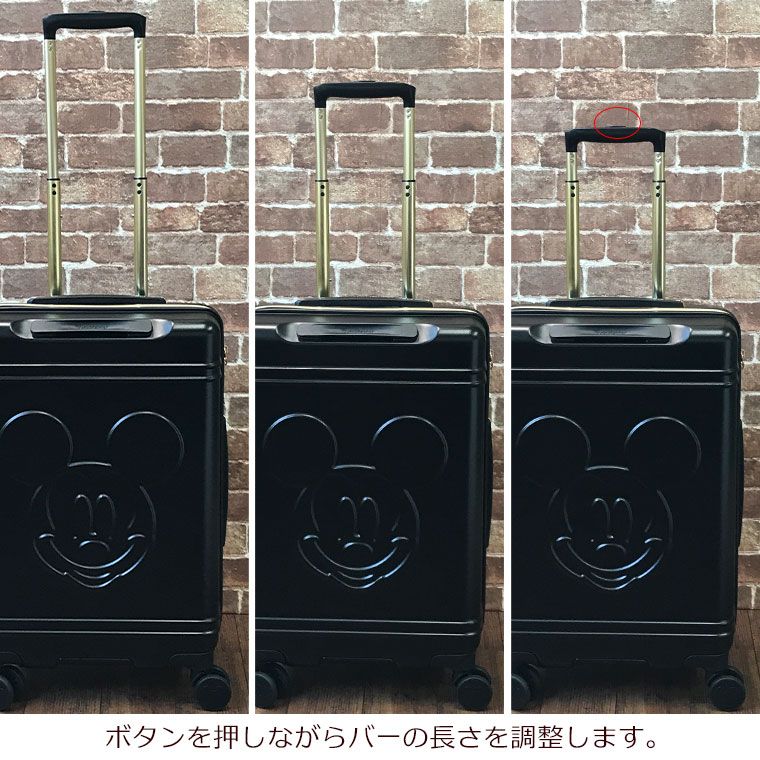 ファスナータイプ 50L