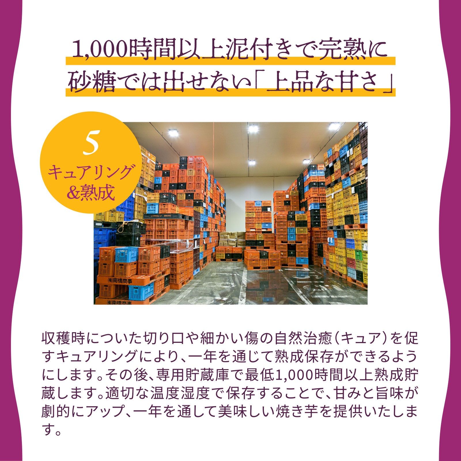 【減農薬】熟成紅はるか さつまいも 土付き 10kg 特大サイズ