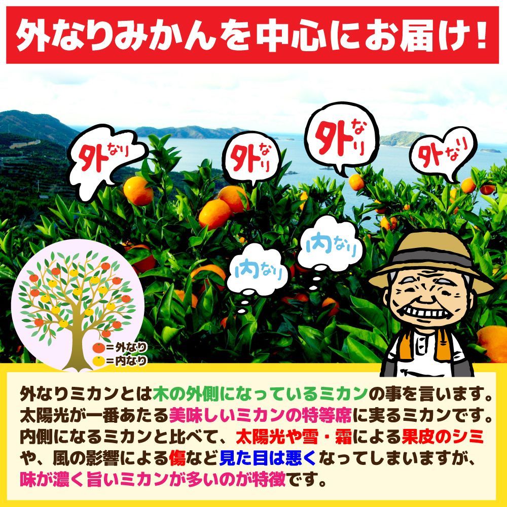 愛媛みかん（1～14日以内発送）特に訳あり 愛媛みかん7kg+保証分500g 愛媛の農家・青果市場から直送！！ ※北海道・沖縄離島 発送不可