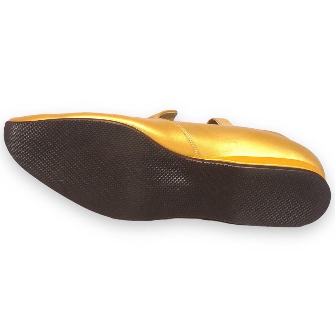 黒王丸 現地球カキ子 実根 白肌強棘 コピアポア copiapoa cinerea 長刺