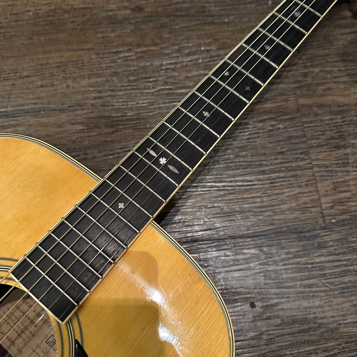 Tokai Cat