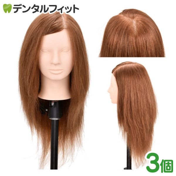 Ci セットアップ ウィッグ 81 人毛100％ アップ カラー サロン専売品 プロ用 アシスタント ビギナー向け 練習 練習用 美容室 アップスタイル 送料無料