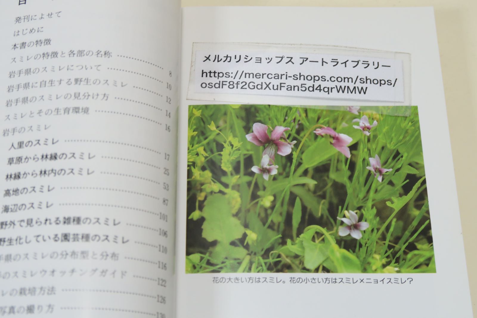 【中古】 岩手の山菜百科 ５版/岩手日報社/薊舎 岩手の山菜百科 (カラー百科シリーズ) | 薊舎, 岩手日報社企画