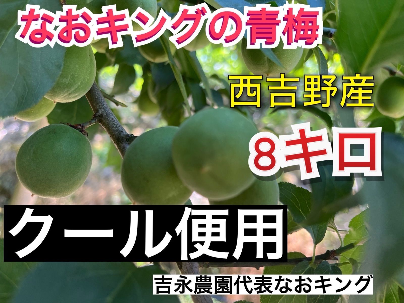 岡山県産青梅8キロ