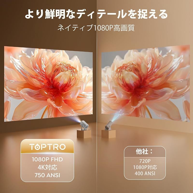 家庭用 Netflixライセンス-20WDolby対応