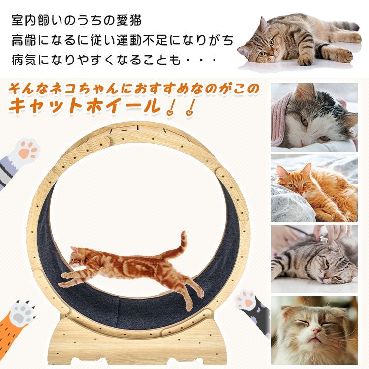 キャットホイール 猫 ランニングホイール ペットホイール ストッパ一付き 自走式 運動不足解消 ダイエット 低騒音 怪我防止 小型犬 ネコpt071