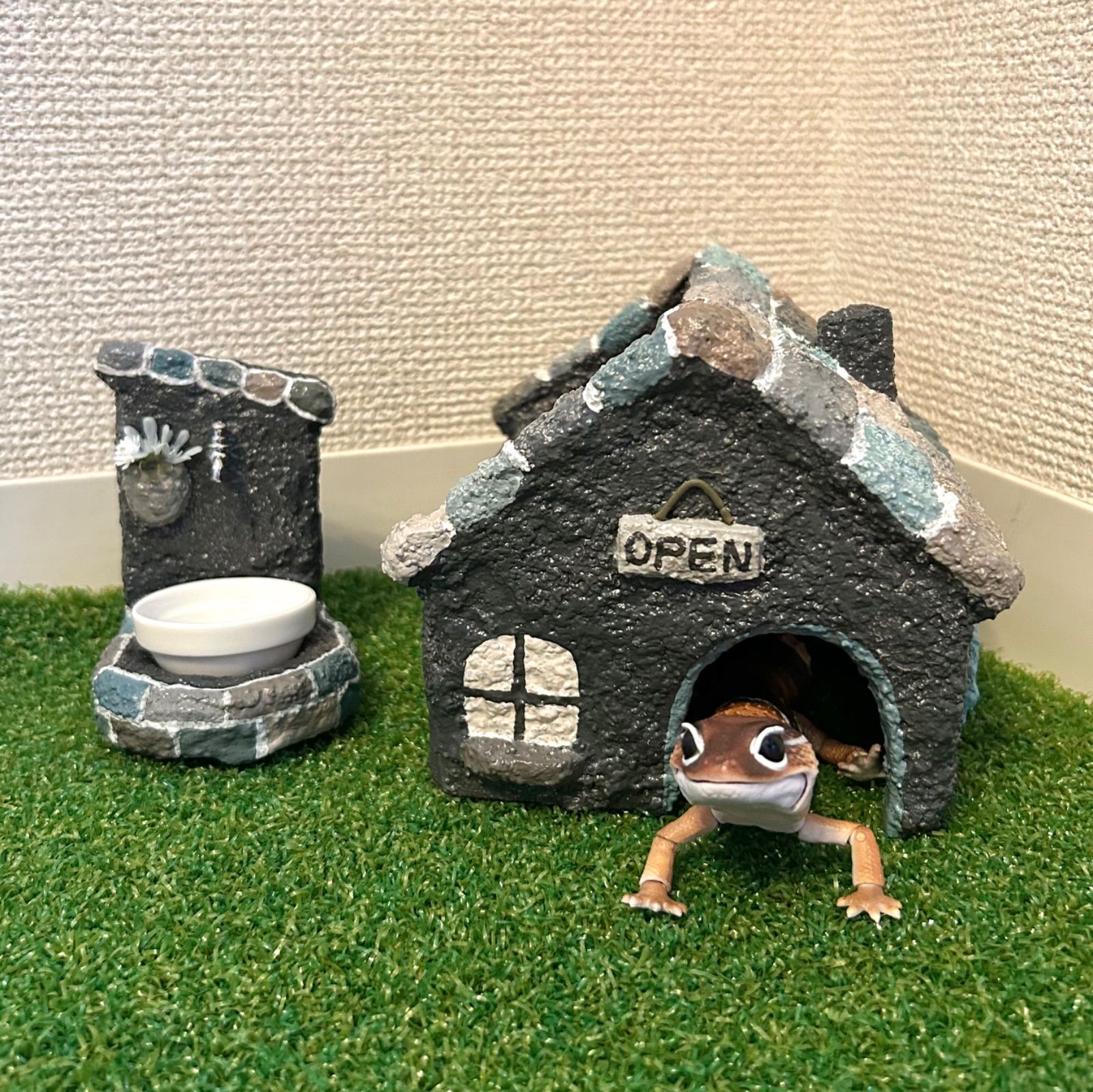 シェルター お水入れ セット