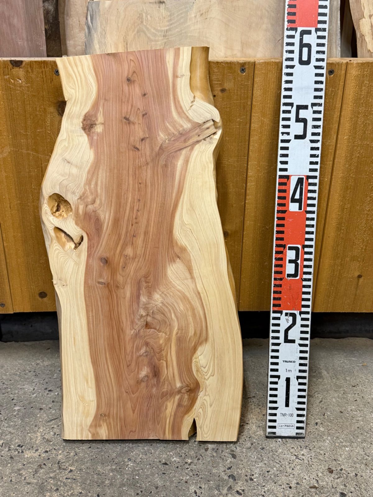 厚くて良形 】貝塚伊吹 カイヅカイブキ 板 一枚板 無垢材 銘木 木工