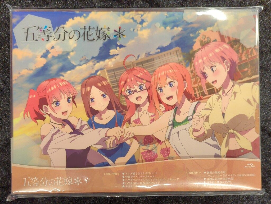 アイスジャパン(Icejapan) 保冷剤 結露防止不織布フィルム 30g 入数：1