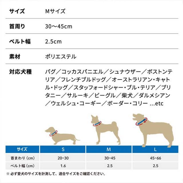 おすすめ 240118