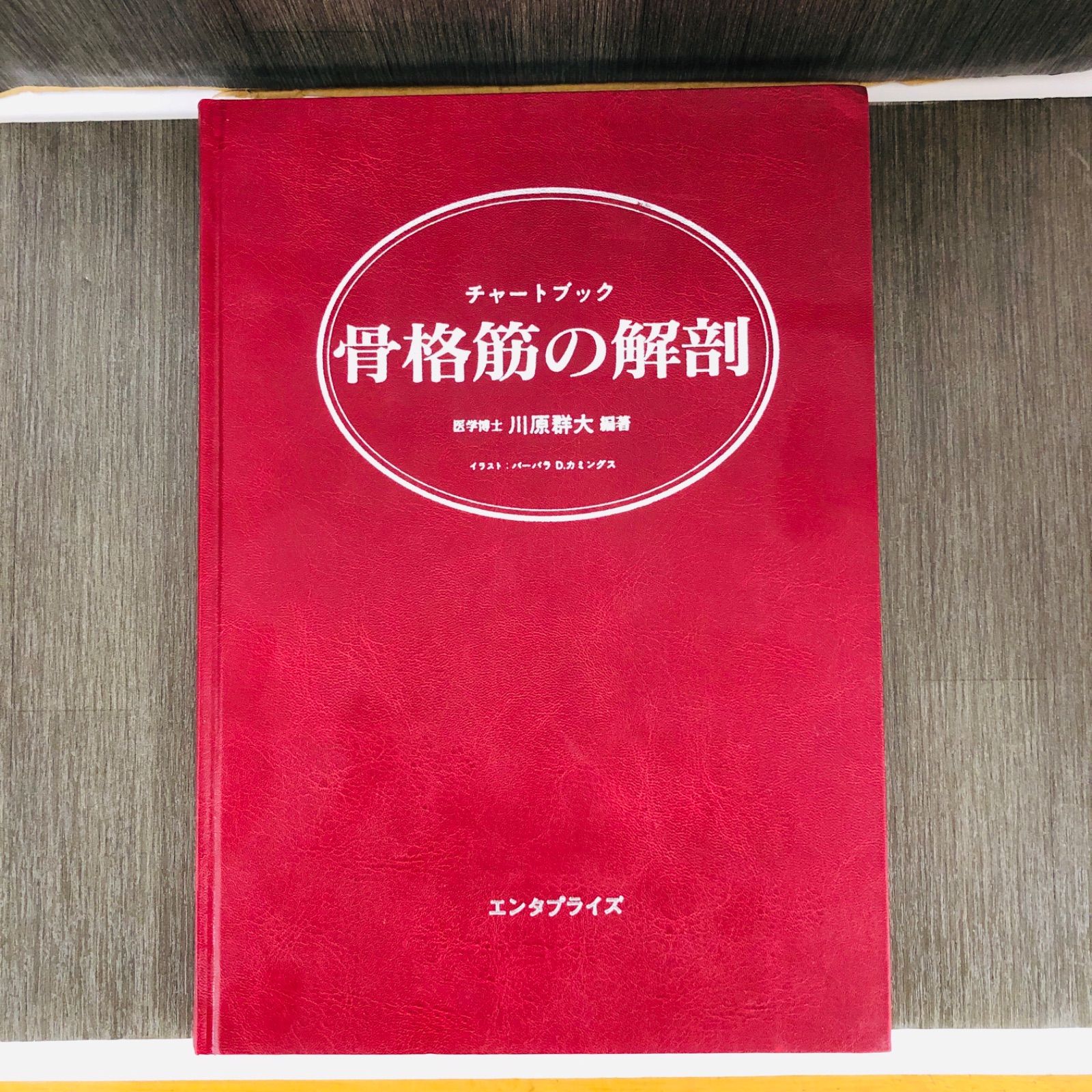 中古書籍】チャートブック骨格筋の解剖 医学博士 川原群大編著 エンタプライズ - メルカリ