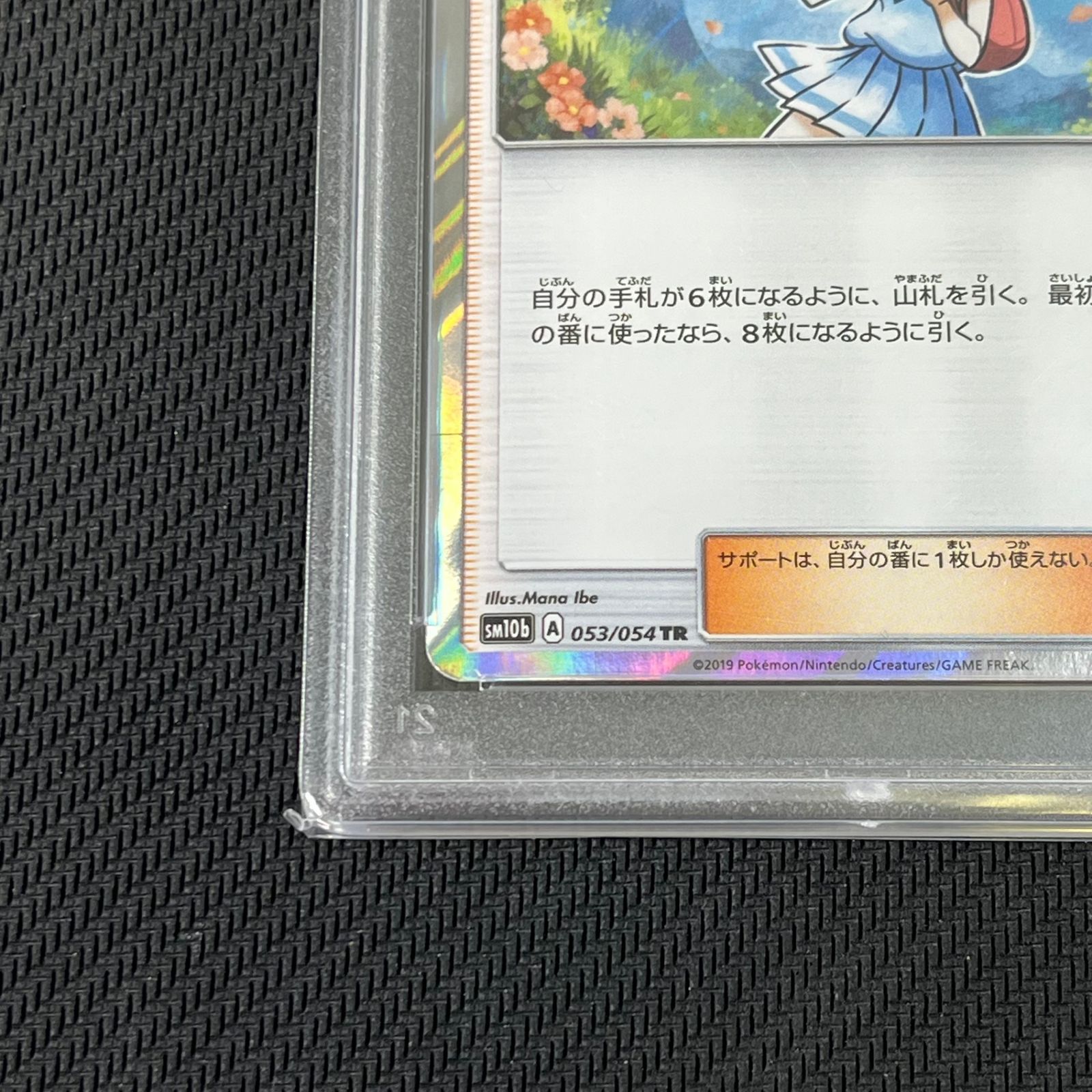 PSA10 ポケカ リーリエ TR 053/054/SM10B/B スカイレジェンド