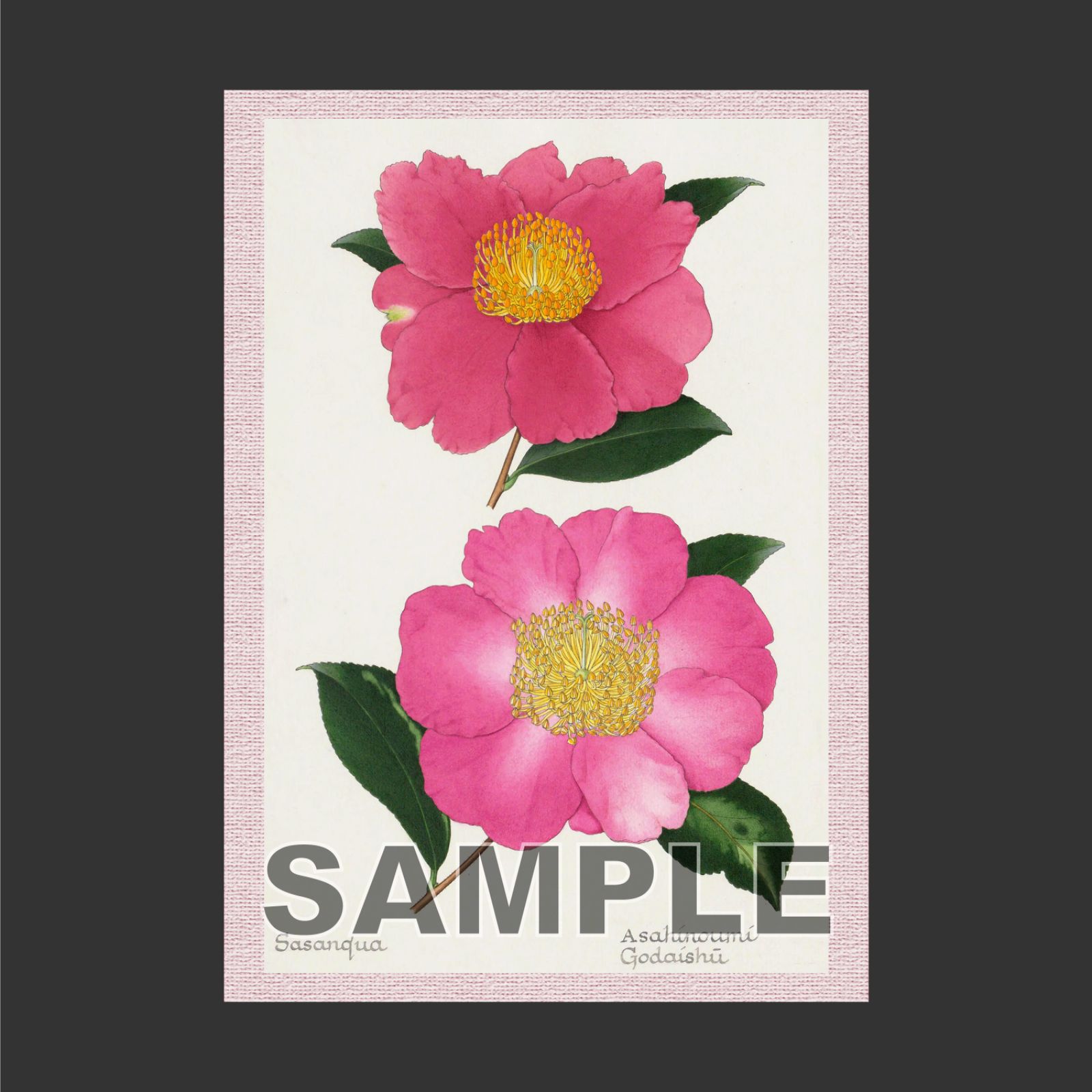 ボタニカルアート 椿（つばき） | ボタニカルアート ブログ