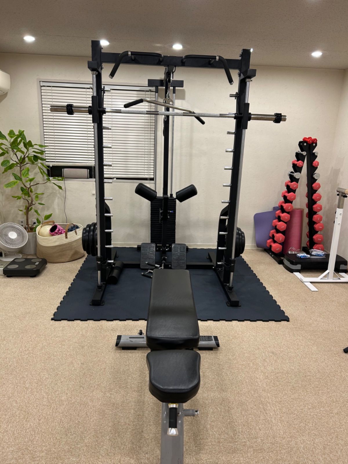 マイオン様 スモールスミスマシン スタック120kg