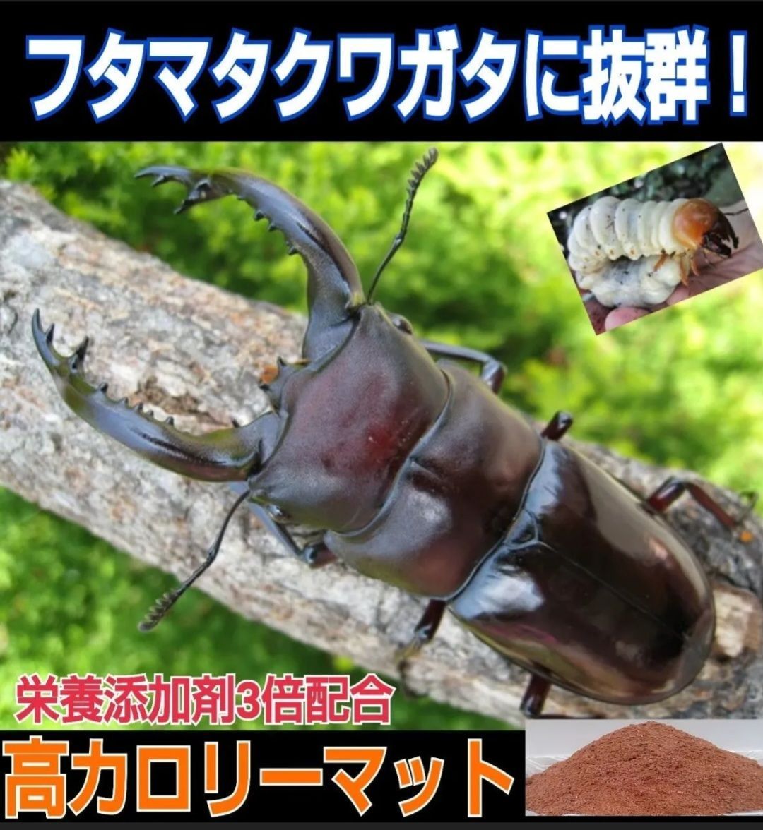 オオクワガタ専用☆超高カロリーマット【40リットル・4袋】生オガを