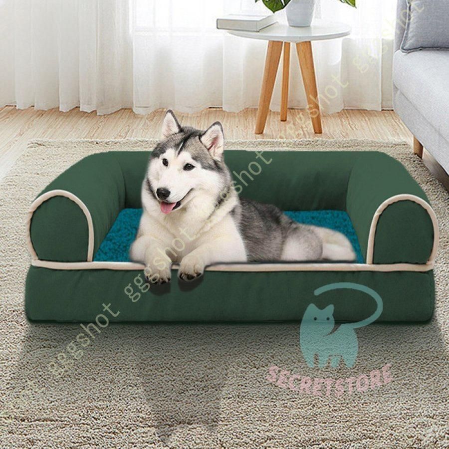 犬
