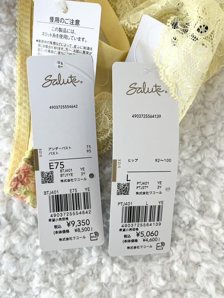 ☆【新品】 Wacoal Salute ワコールサルート ブラジャー＆ソング
