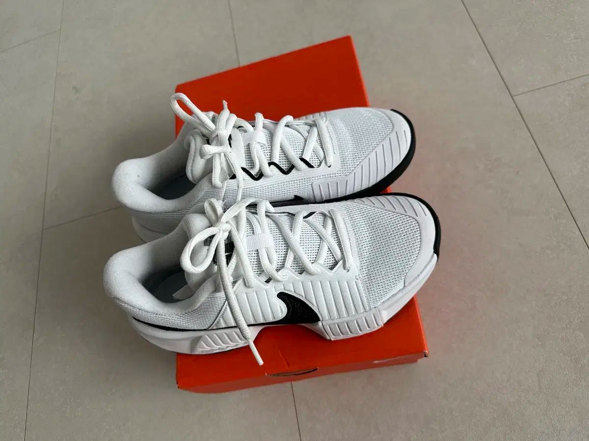 ナイキ レディース テニスシューズ ズーム GP チャレンジ プロ 235