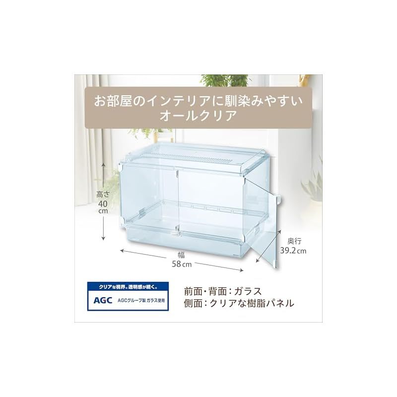 ハムスター