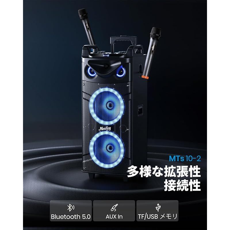 280W デュアル10インチサブウーファー
