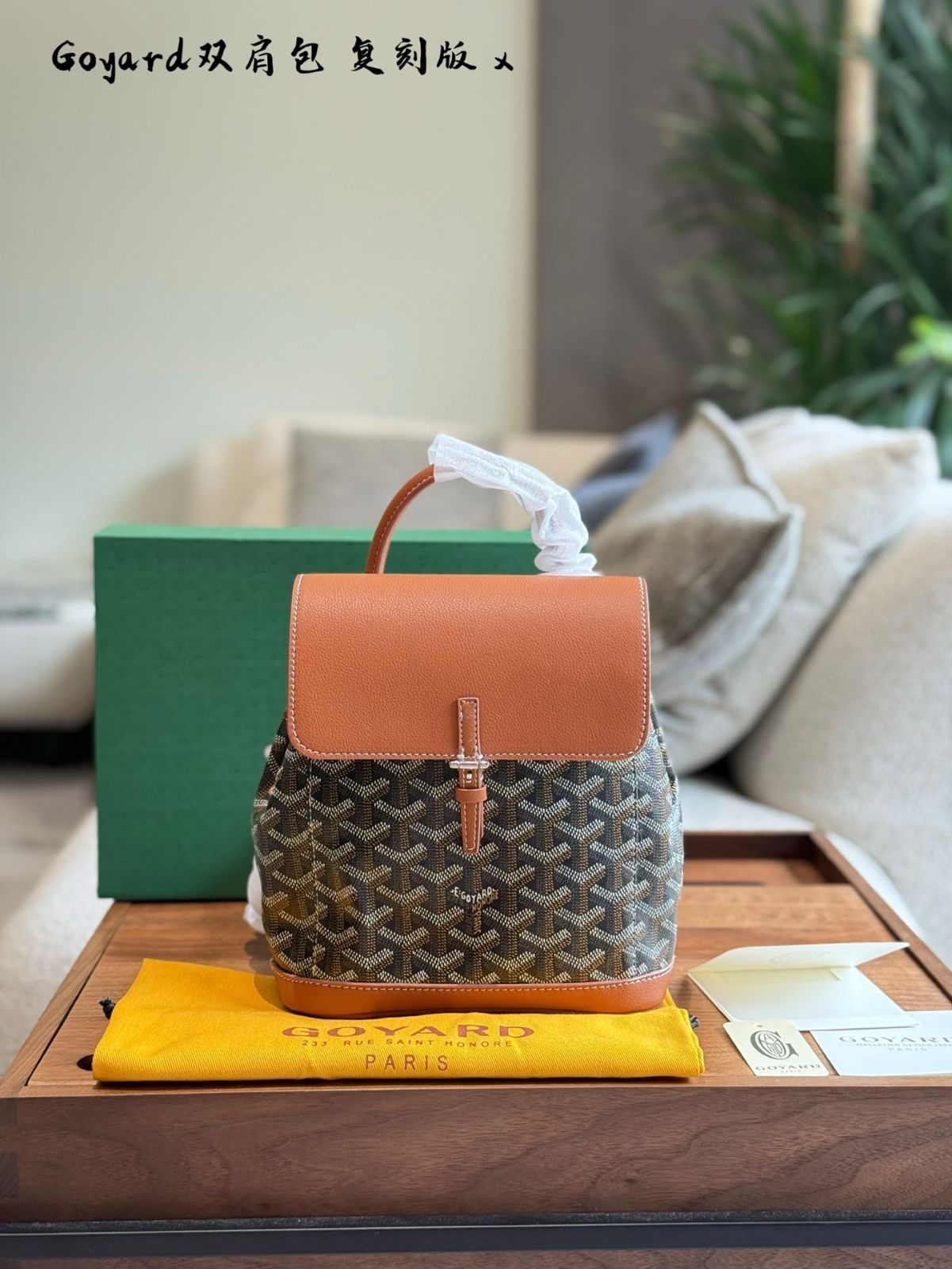 今日 Goyard Alpin mini リュックサック-WTO輸入2