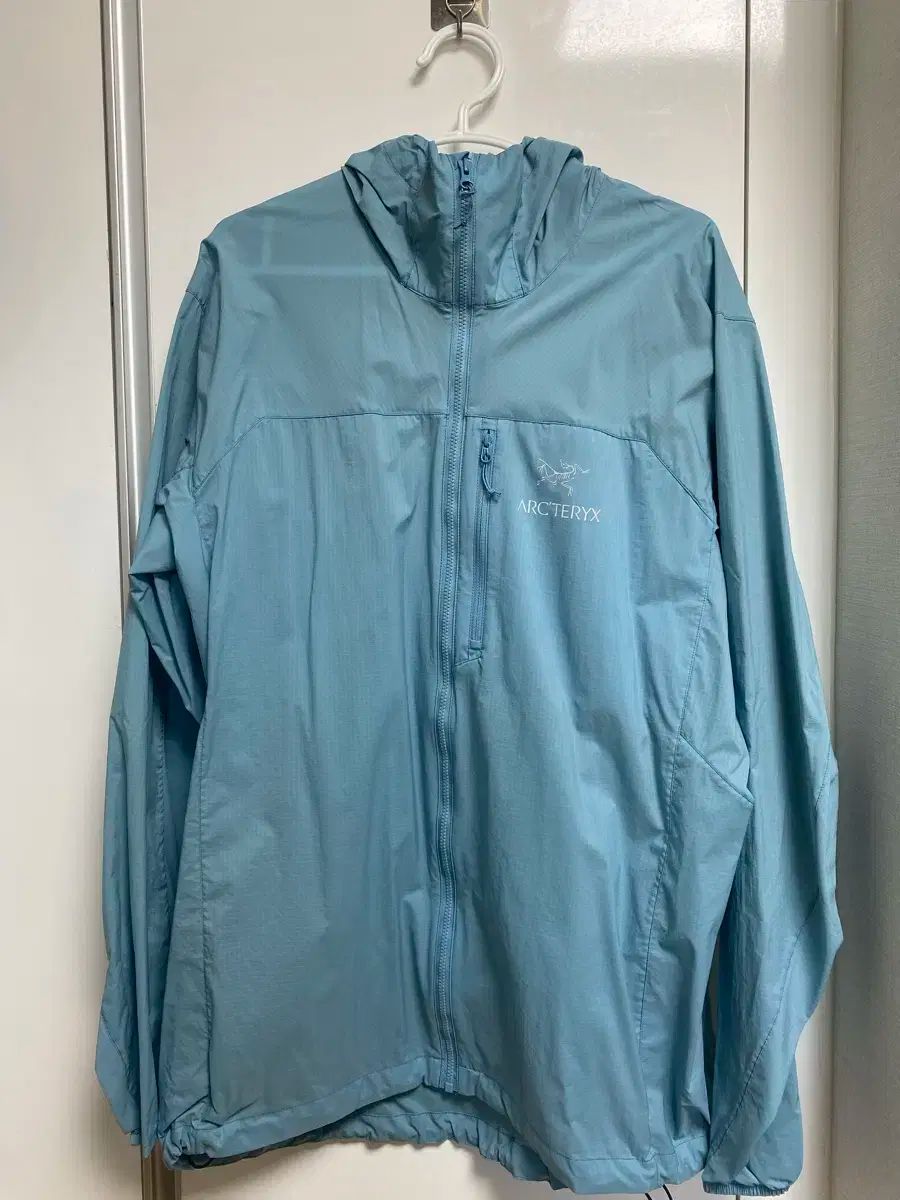 ARC TERYX アークテリクス スコーミッシュ フーディー ソール L