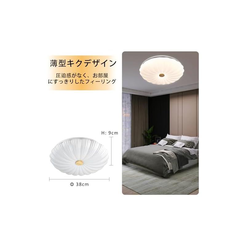 48Wリモコン