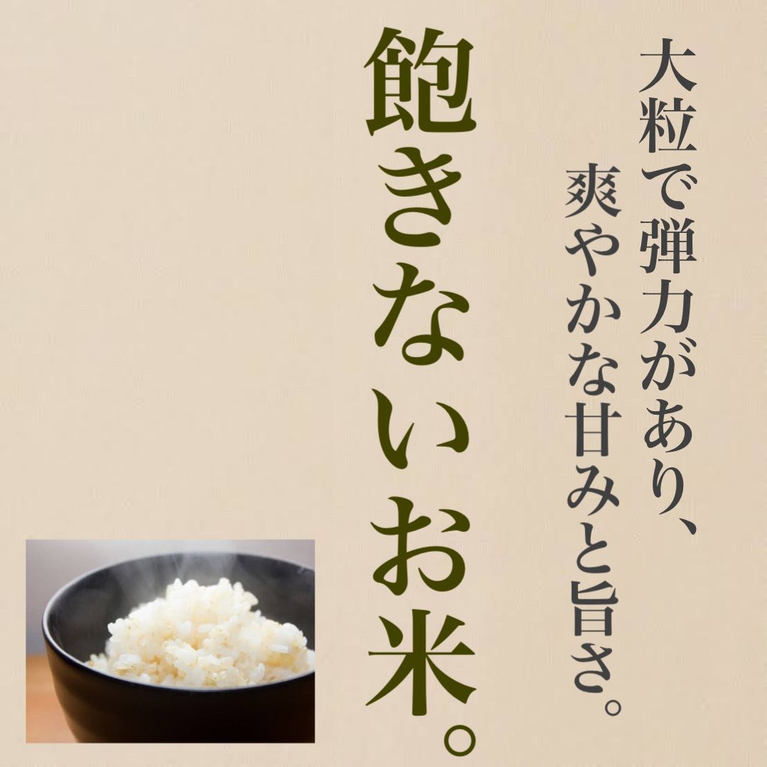 令和4年度 新米 送料無料 農家直送 埼玉県産 彩のきずな 5キロ 白米 - メルカリ