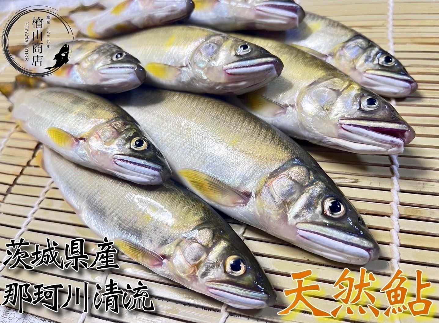 天然鮎那珂川 濃厚な味と香りの那珂川天然鮎,一度食べたら忘れられない味わいです！