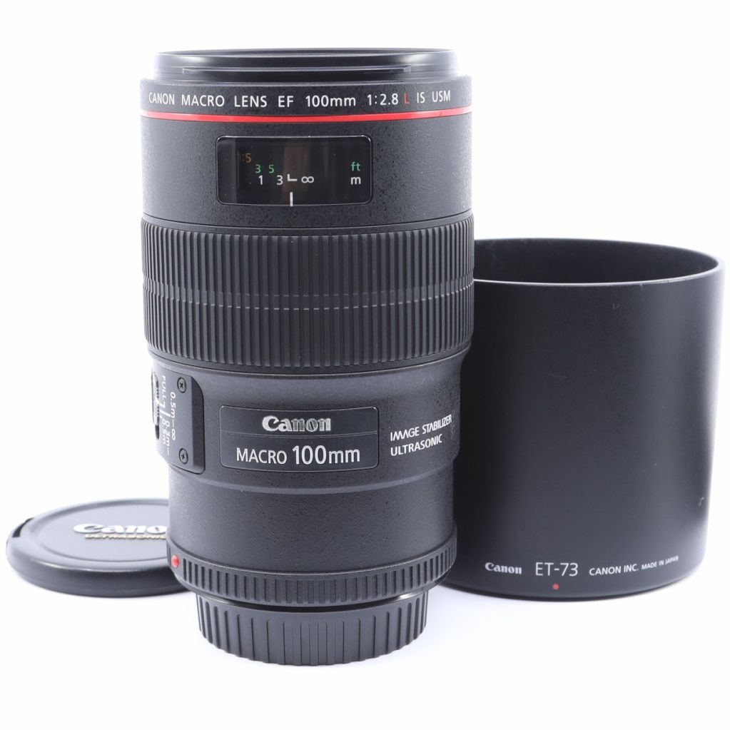 Canon EF100mm F2.8 MACRO USM 単焦点マクロレンズ - レンズ(単焦点)