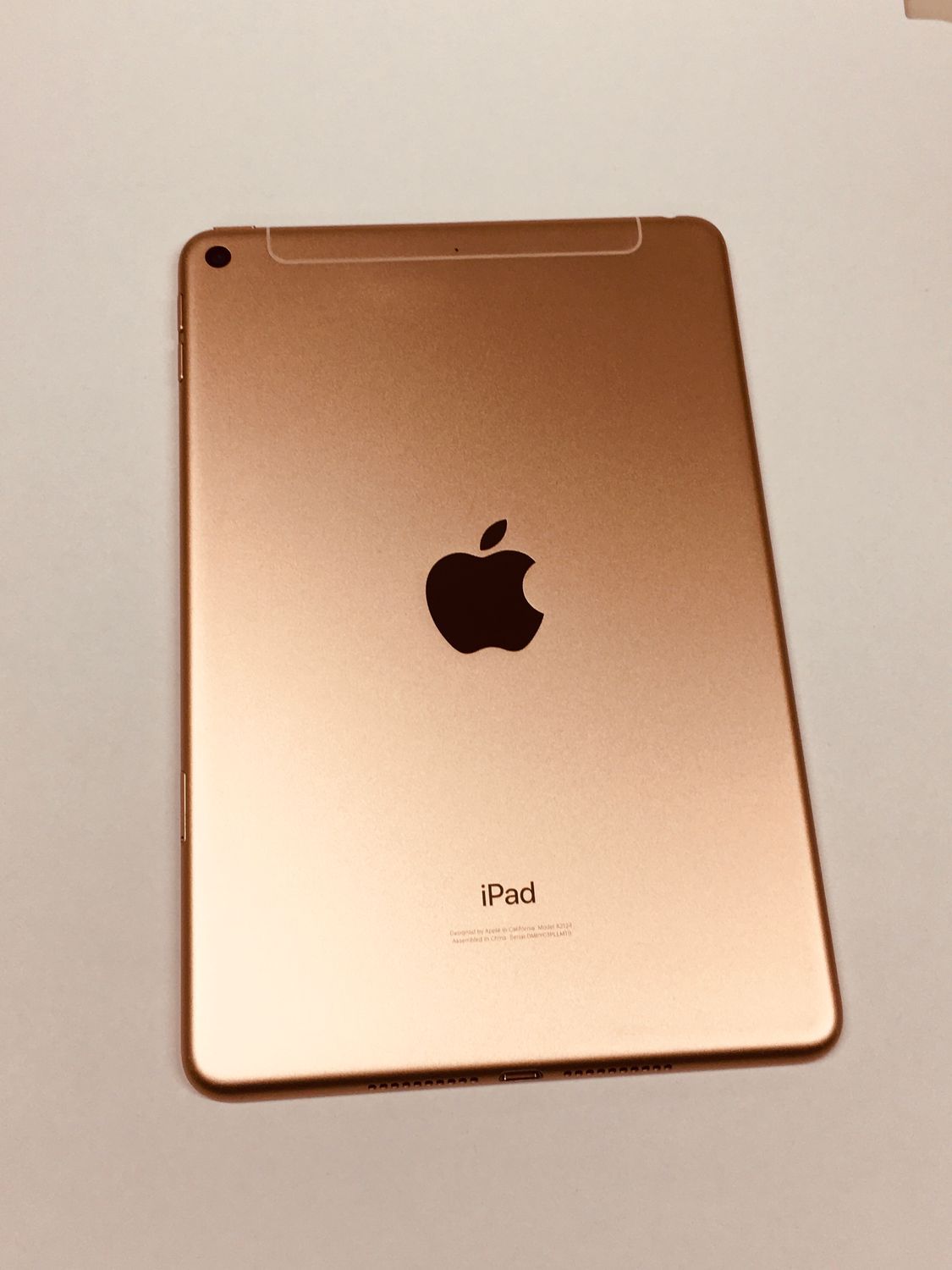 iPad mini 5 セルラー版 64GB gold 電池88% 【美品】 iPad mini 5 Wi-Fi 64GB - ゴールド [整備済製品] - Apple（日本）