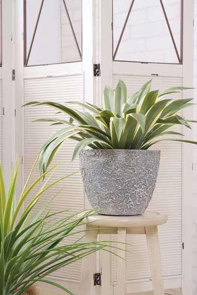 光触媒 人工観葉植物 フェイクグリーン エミリオロバ 胡蝶蘭