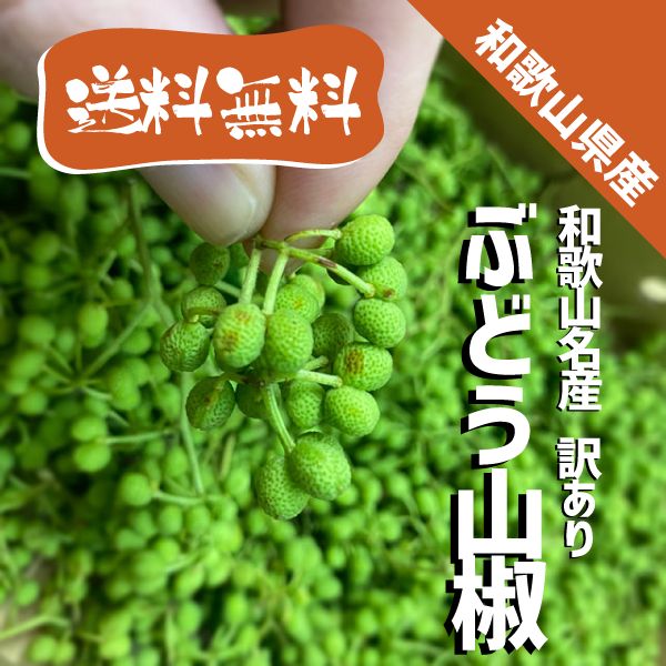 和歌山県産 ぶどう山椒 訳あり200g 送料無料 生山椒 実山椒 有田川町産