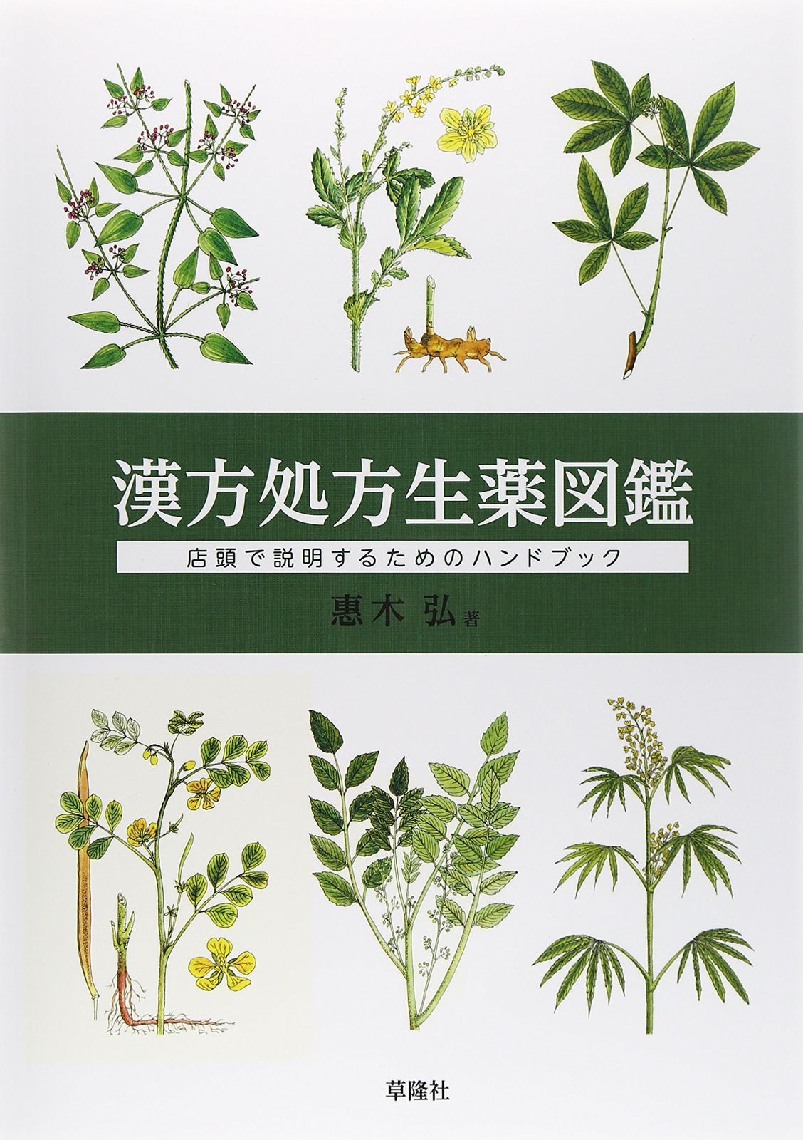 【数量限定，新作】 漢方処方生薬図鑑 その他