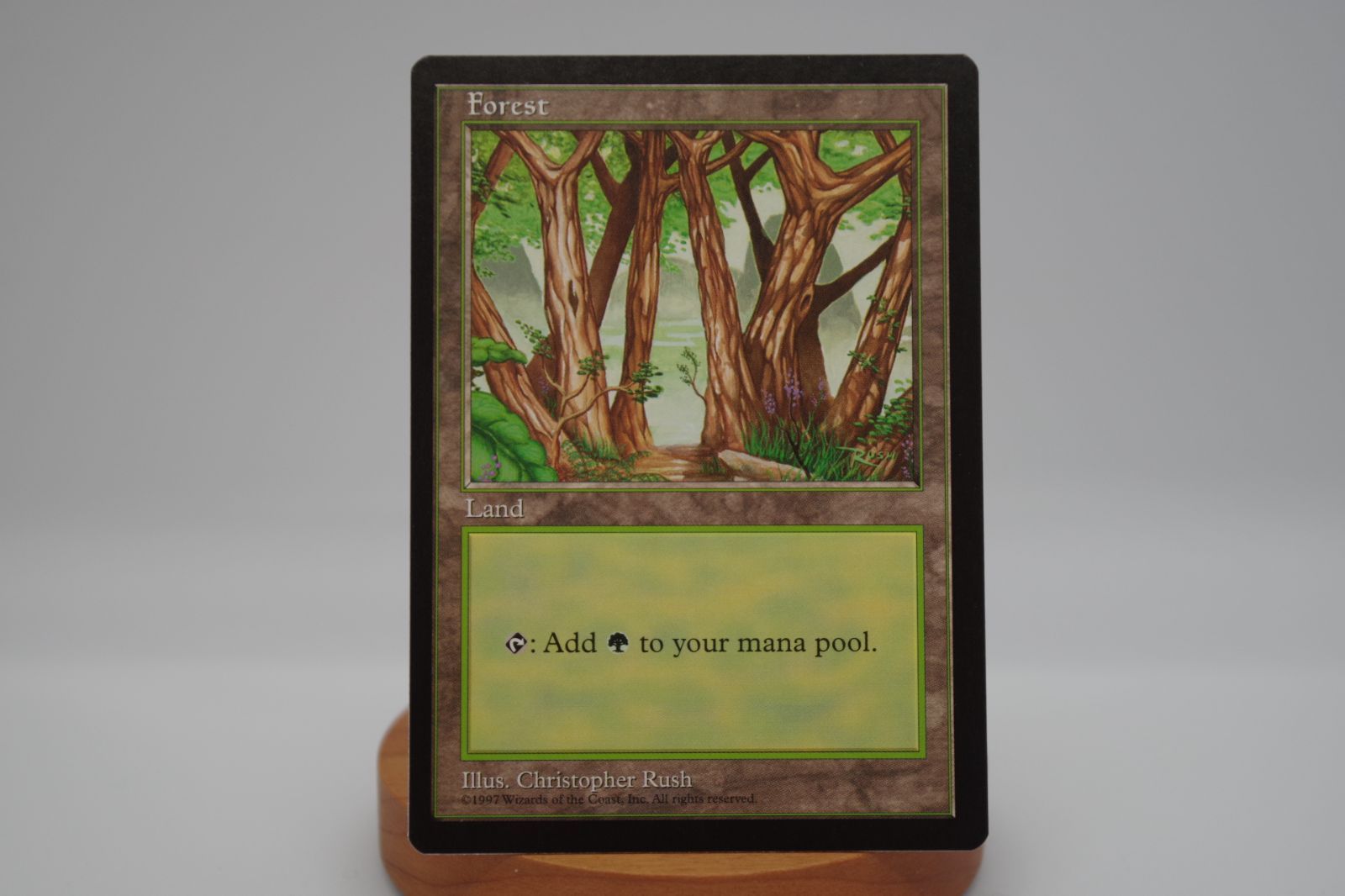 MTG Forest - Blue Pack (Rush) - APAC Lands (APAC) 英語版 - メルカリ